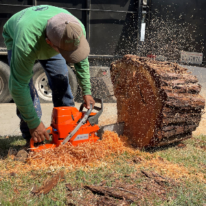 Tree Stump Removal Service Visalia 
