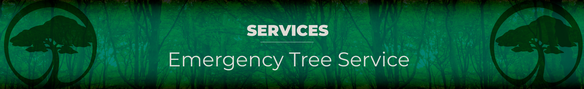 Tree Service In Visalia 