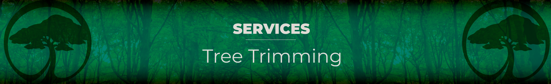Tree Trimming Service Visalia