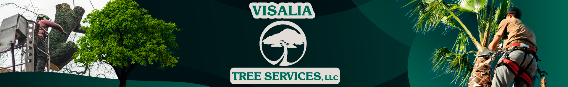 Visalia Tree Services, LLC - Header